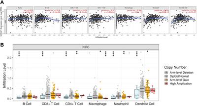 NCKAP1 is a Prognostic Biomarker for Inhibition of Cell Growth in Clear Cell Renal Cell Carcinoma